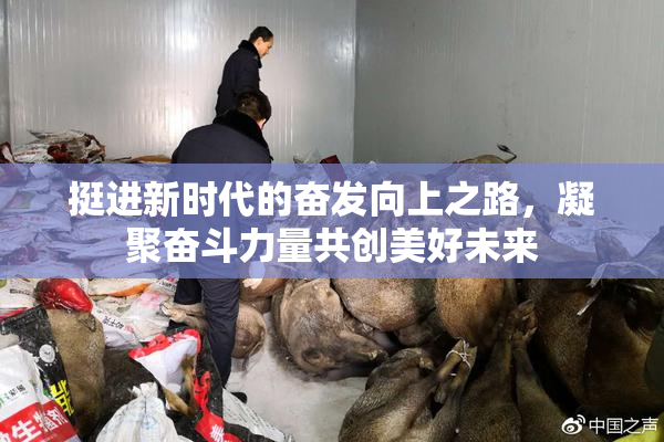 挺进新时代的奋发向上之路，凝聚奋斗力量共创美好未来