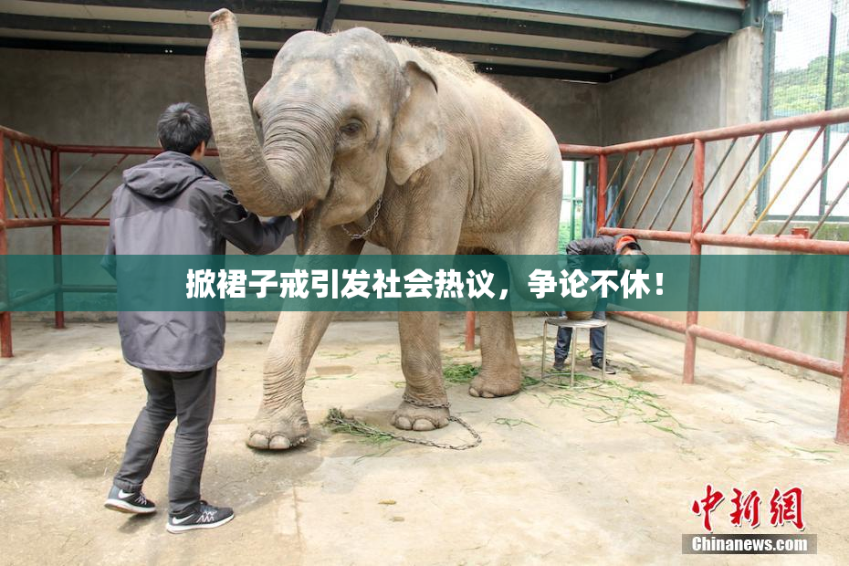 掀裙子戒引发社会热议，争论不休！