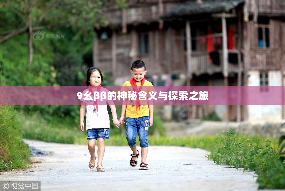 9幺ββ的神秘含义与探索之旅