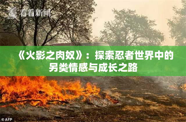 《火影之肉奴》：探索忍者世界中的另类情感与成长之路