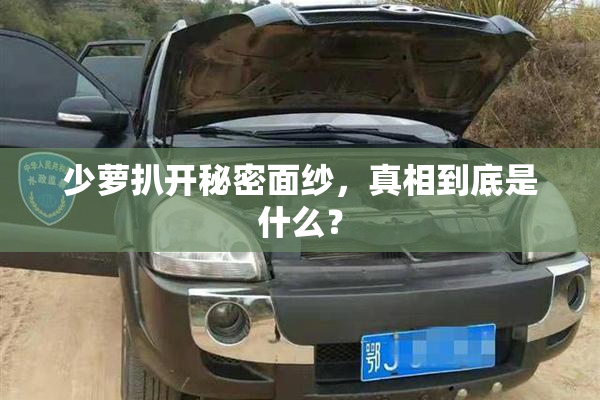 少萝扒开秘密面纱，真相到底是什么？