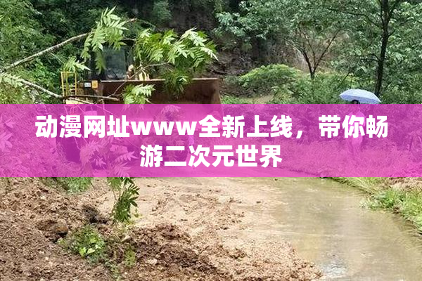 动漫网址www全新上线，带你畅游二次元世界