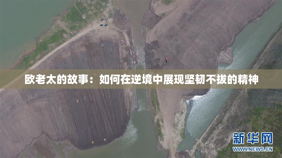 欧老太的故事：如何在逆境中展现坚韧不拔的精神