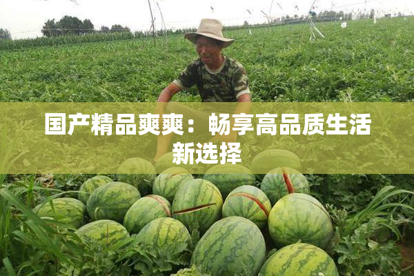 国产精品爽爽：畅享高品质生活新选择