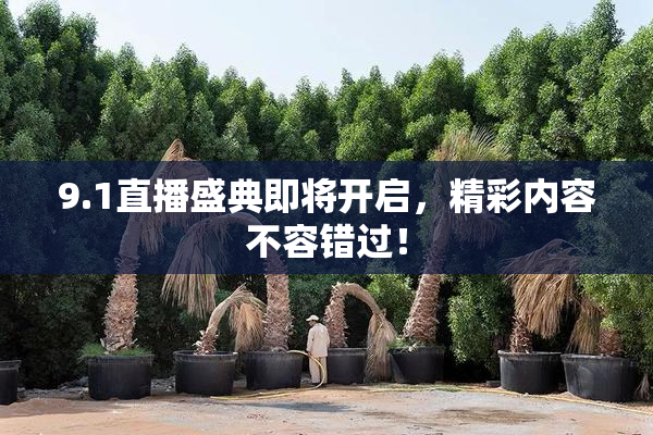 9.1直播盛典即将开启，精彩内容不容错过！