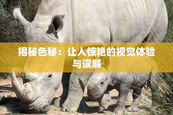 揭秘色秘：让人惊艳的视觉体验与误解