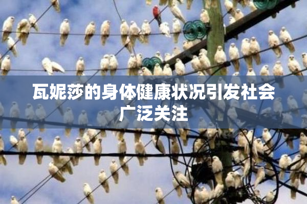 瓦妮莎的身体健康状况引发社会广泛关注
