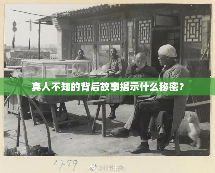 真人不知的背后故事揭示什么秘密？