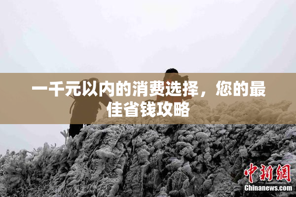 一千元以内的消费选择，您的最佳省钱攻略