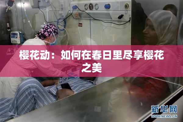 樱花动：如何在春日里尽享樱花之美
