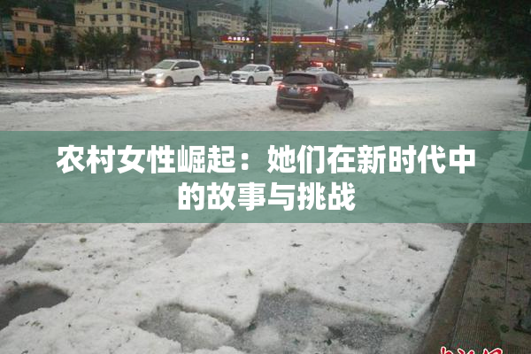 农村女性崛起：她们在新时代中的故事与挑战