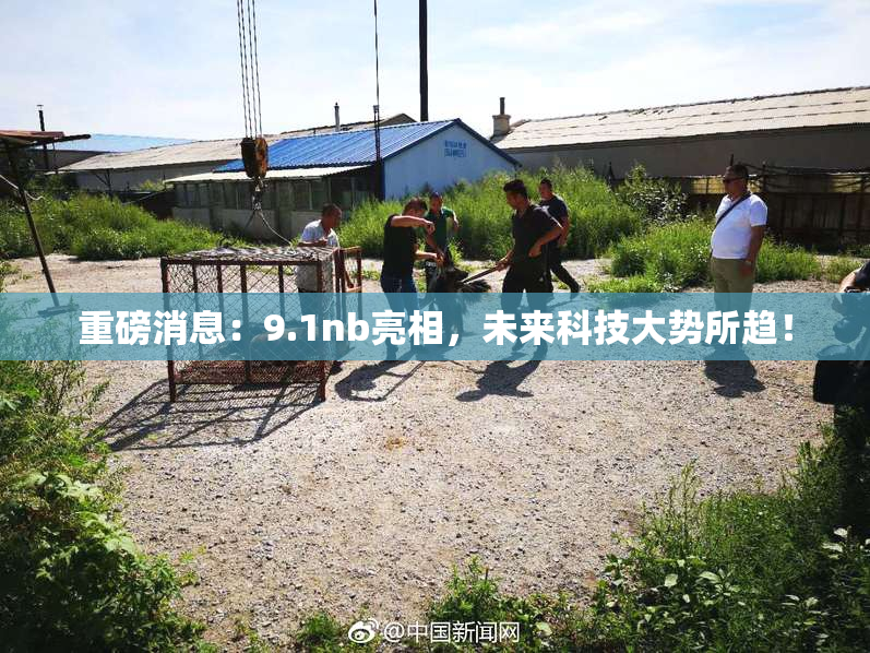 重磅消息：9.1nb亮相，未来科技大势所趋！