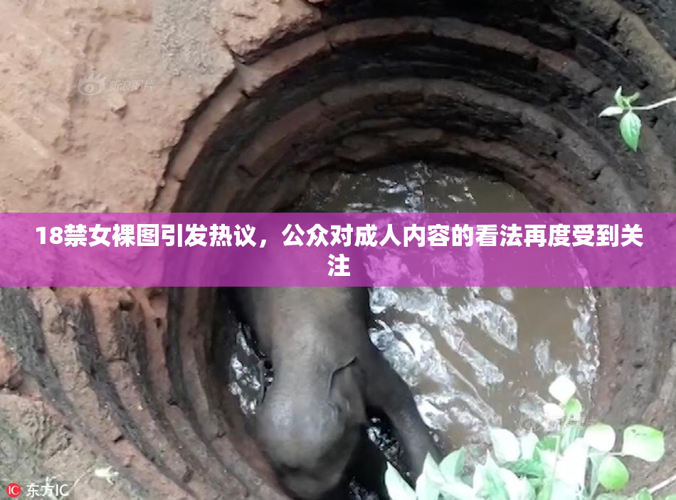18禁女裸图引发热议，公众对成人内容的看法再度受到关注