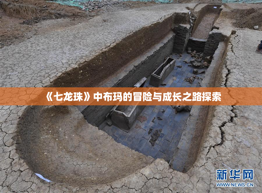 《七龙珠》中布玛的冒险与成长之路探索