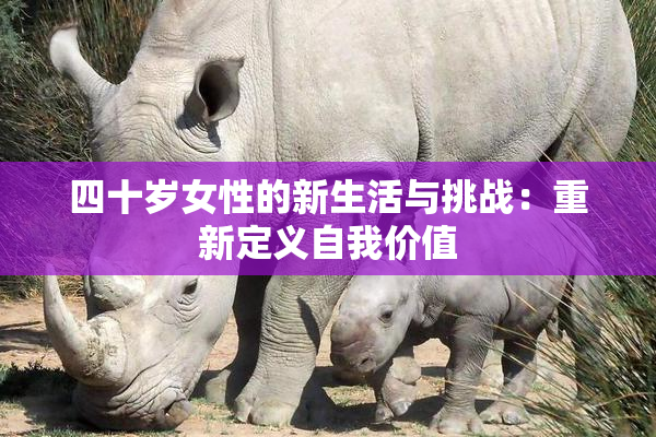 四十岁女性的新生活与挑战：重新定义自我价值