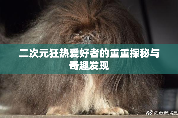 二次元狂热爱好者的重重探秘与奇趣发现