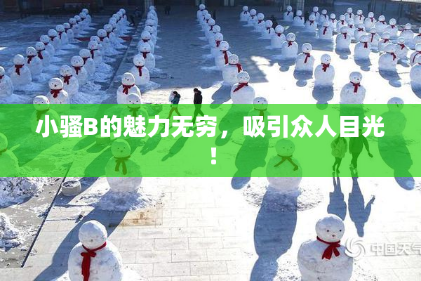 小骚B的魅力无穷，吸引众人目光！