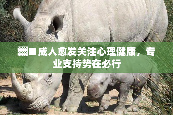 ▓■成人愈发关注心理健康，专业支持势在必行