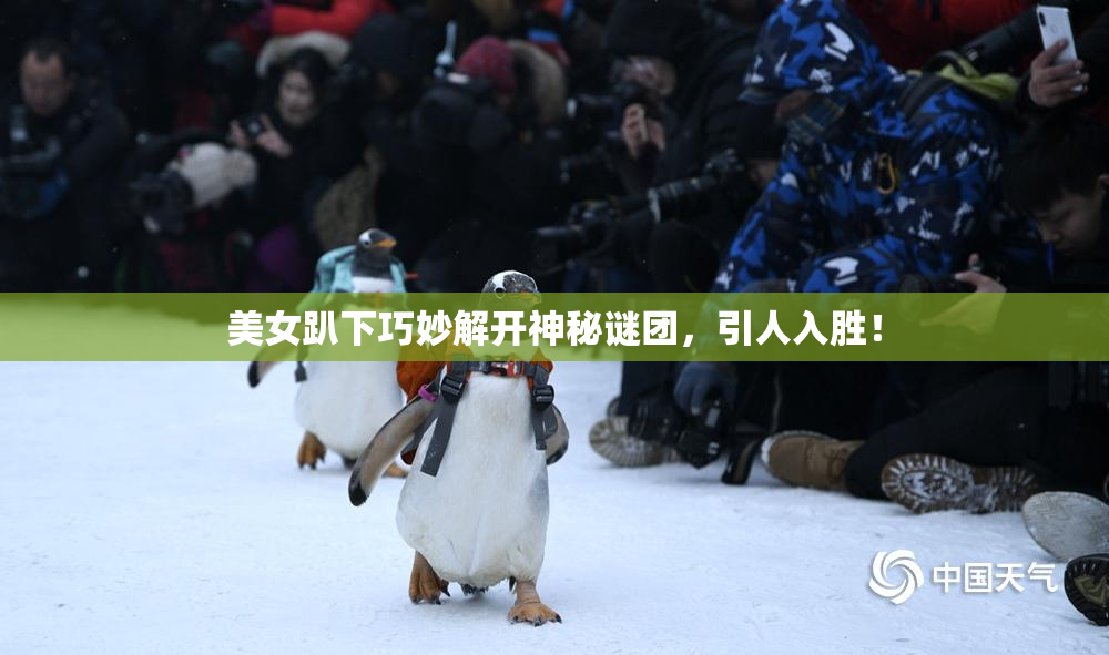 美女趴下巧妙解开神秘谜团，引人入胜！
