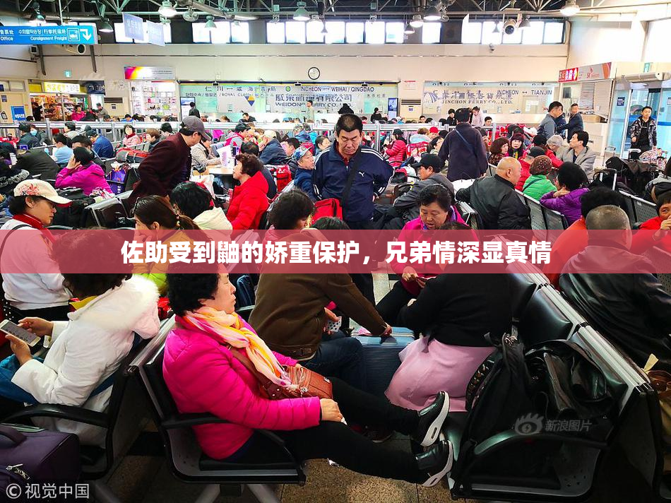 佐助受到鼬的娇重保护，兄弟情深显真情