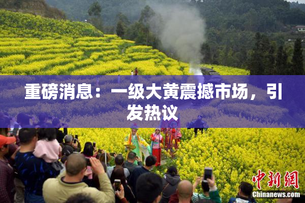 重磅消息：一级大黄震撼市场，引发热议