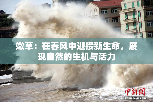 嫩草：在春风中迎接新生命，展现自然的生机与活力