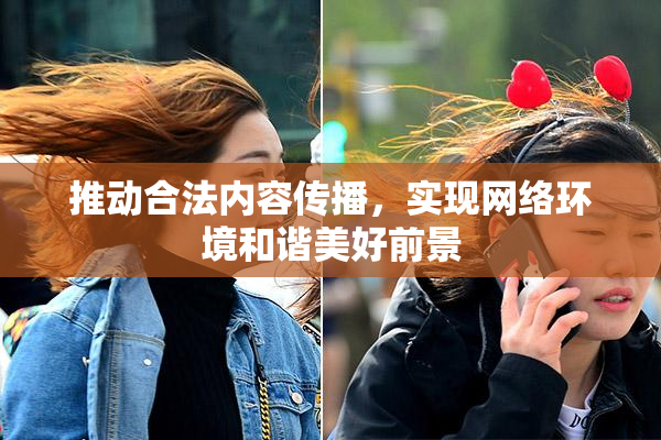 推动合法内容传播，实现网络环境和谐美好前景