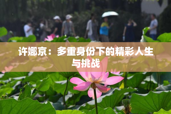 许娜京：多重身份下的精彩人生与挑战