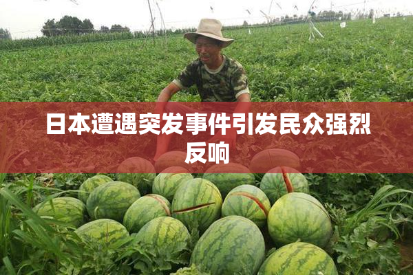 日本遭遇突发事件引发民众强烈反响