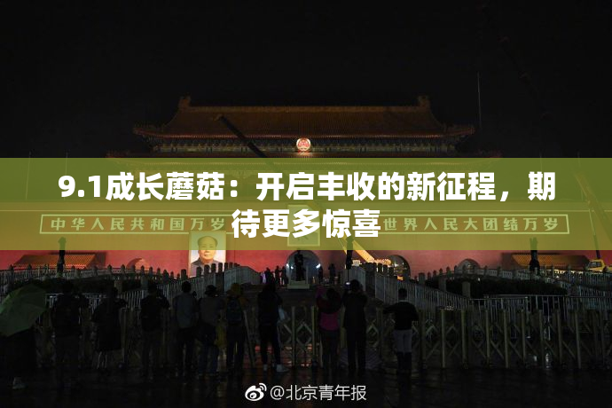 9.1成长蘑菇：开启丰收的新征程，期待更多惊喜