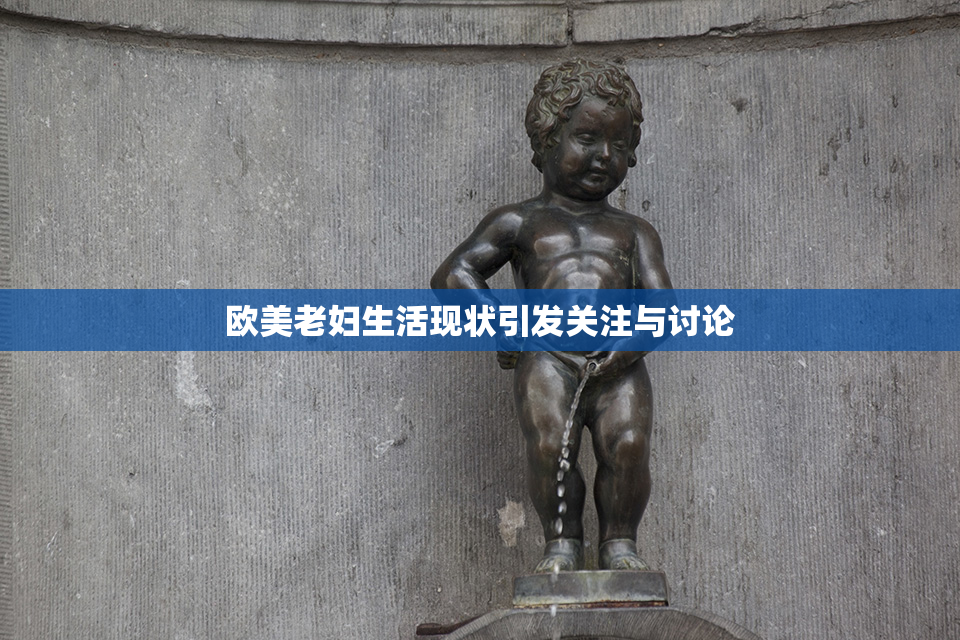 欧美老妇生活现状引发关注与讨论
