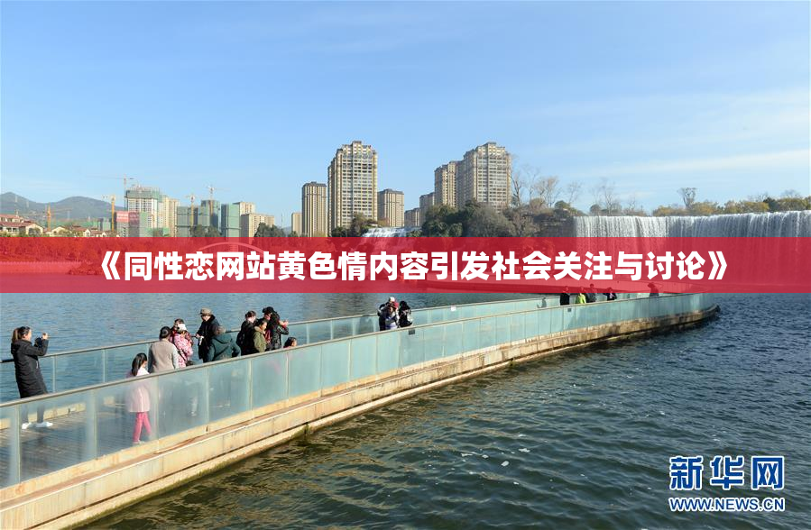 《同性恋网站黄色情内容引发社会关注与讨论》
