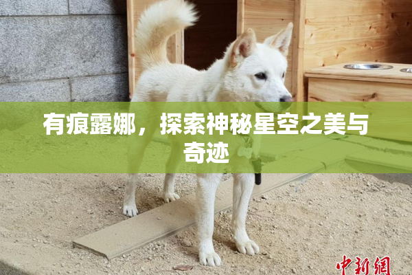 有痕露娜，探索神秘星空之美与奇迹