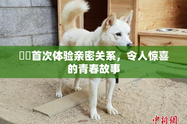妺妺首次体验亲密关系，令人惊喜的青春故事