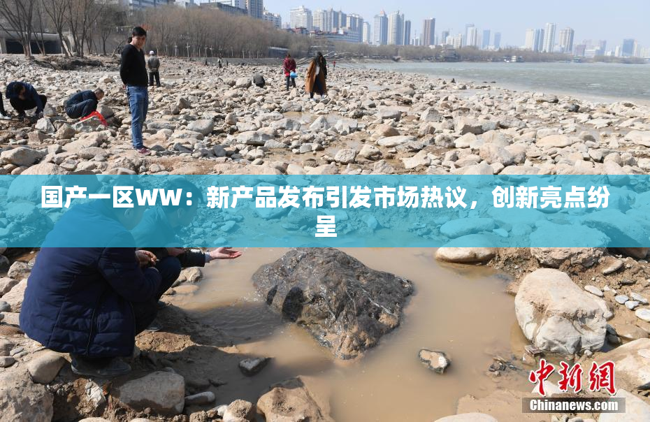 国产一区WW：新产品发布引发市场热议，创新亮点纷呈