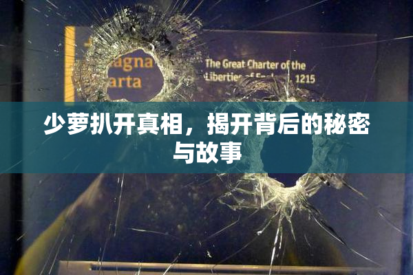 少萝扒开真相，揭开背后的秘密与故事