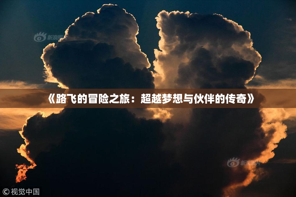 《路飞的冒险之旅：超越梦想与伙伴的传奇》
