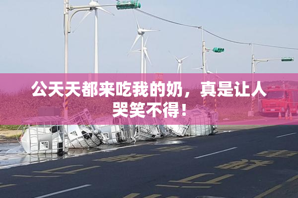 公天天都来吃我的奶，真是让人哭笑不得！
