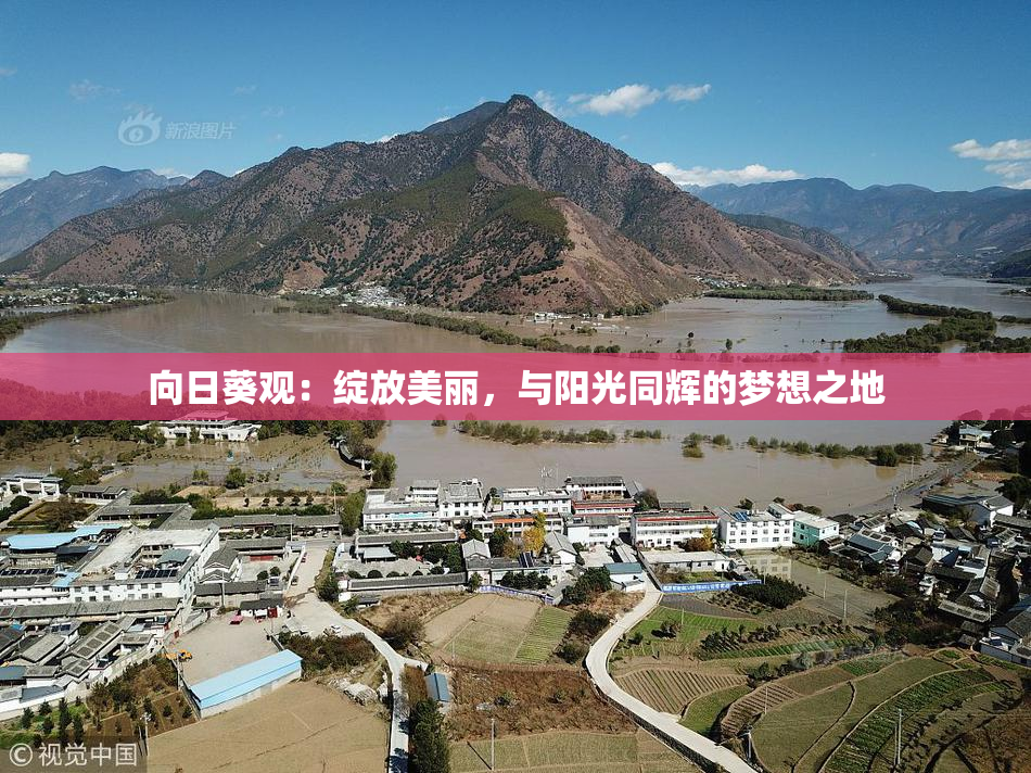 向日葵观：绽放美丽，与阳光同辉的梦想之地