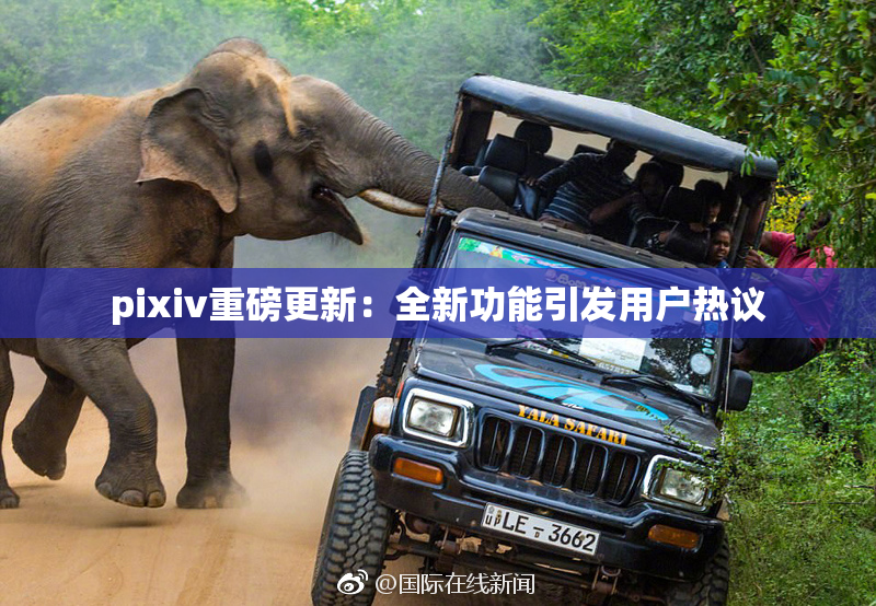 pixiv重磅更新：全新功能引发用户热议
