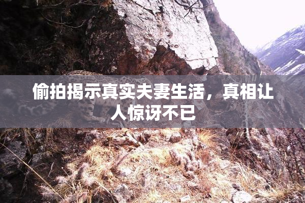 偷拍揭示真实夫妻生活，真相让人惊讶不已