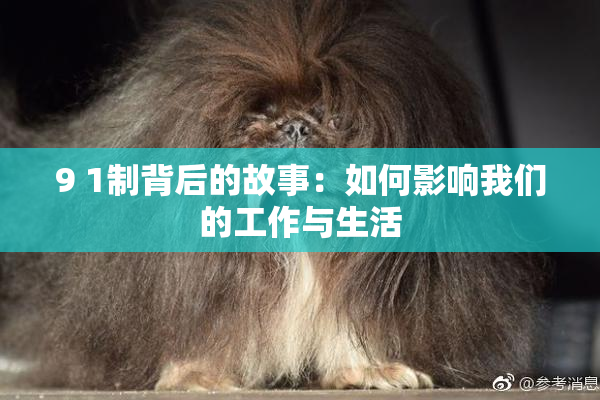 9 1制背后的故事：如何影响我们的工作与生活