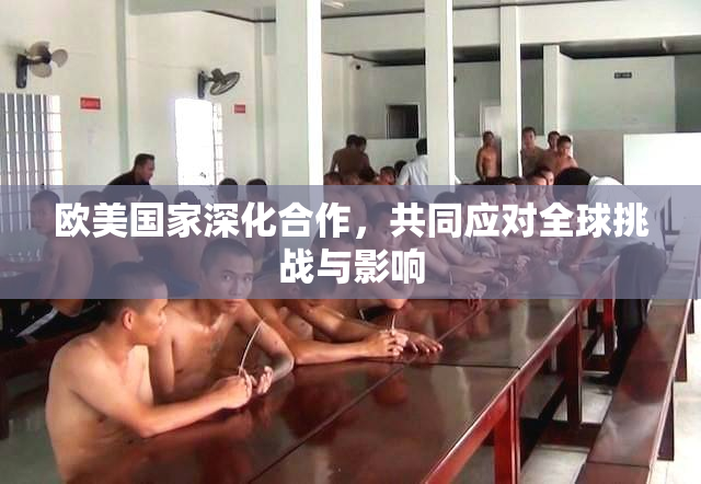 欧美国家深化合作，共同应对全球挑战与影响