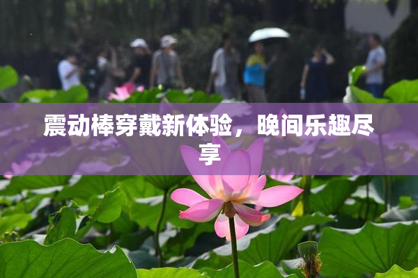 震动棒穿戴新体验，晚间乐趣尽享