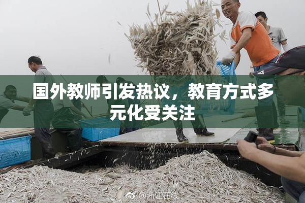 国外教师引发热议，教育方式多元化受关注