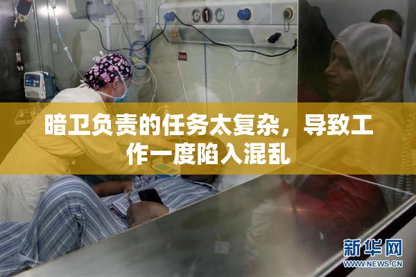 暗卫负责的任务太复杂，导致工作一度陷入混乱