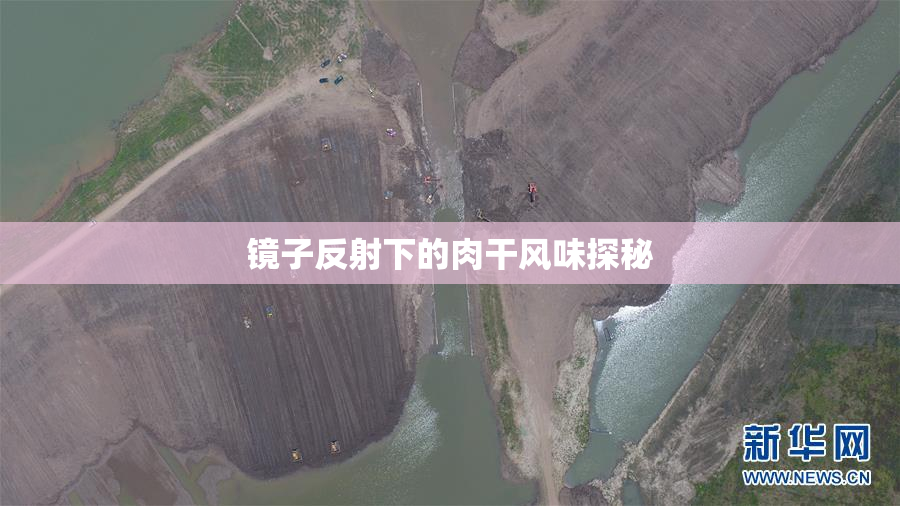 镜子反射下的肉干风味探秘