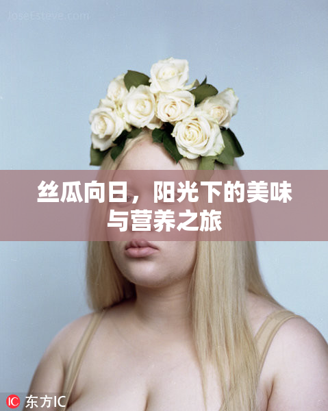丝瓜向日，阳光下的美味与营养之旅
