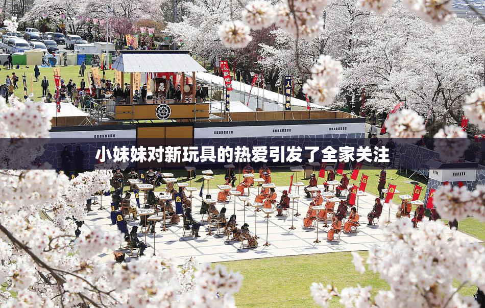 小妹妹对新玩具的热爱引发了全家关注