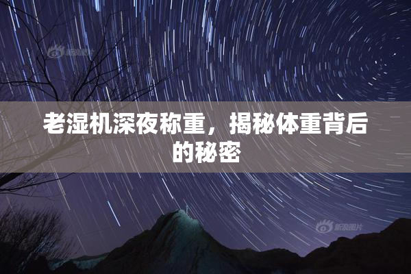老湿机深夜称重，揭秘体重背后的秘密